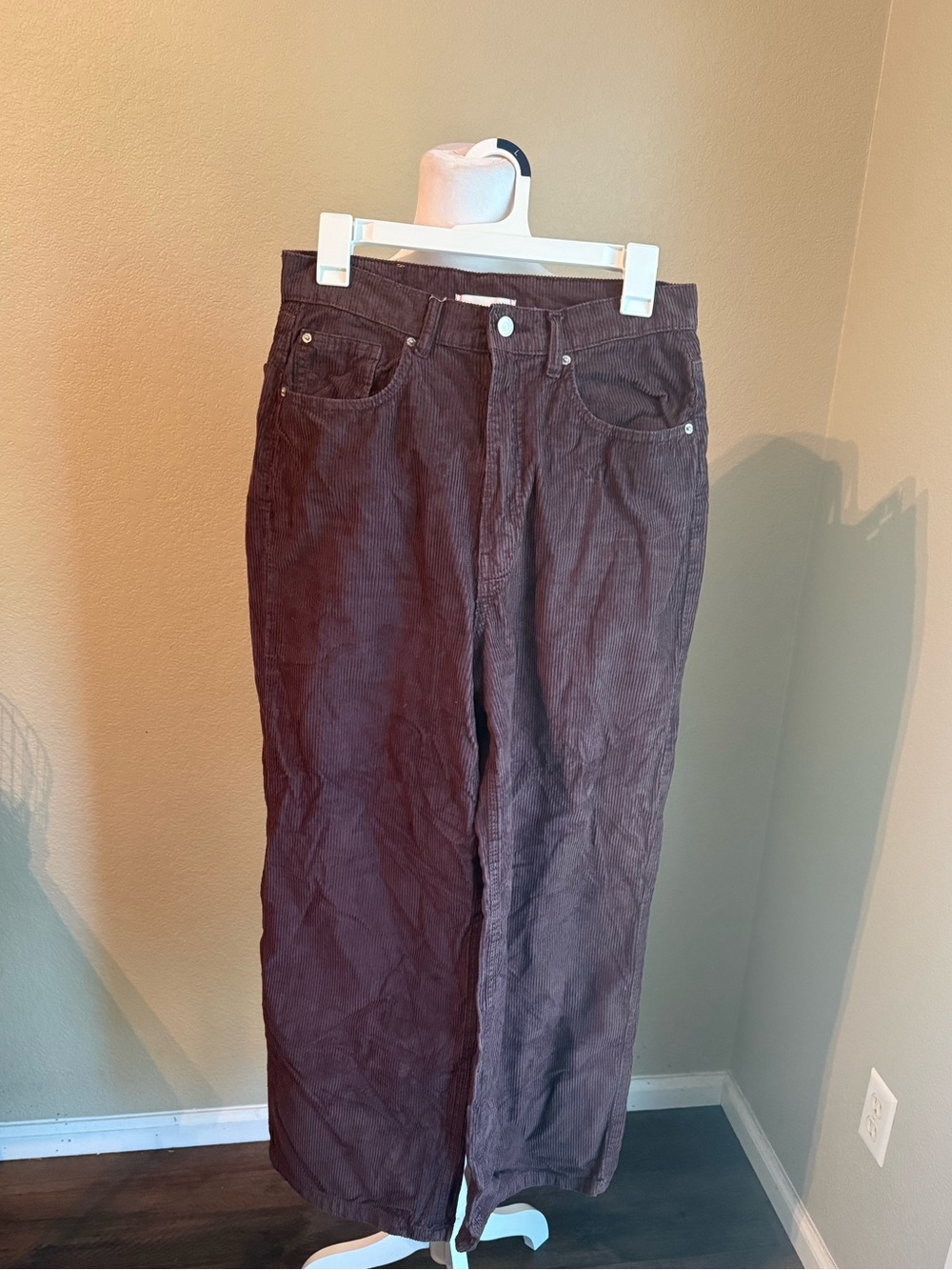 BDG Corduroy Wide-Leg Pants in Deep Brown
